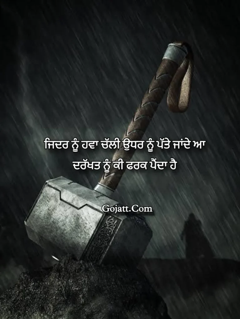Punjabi attitude status
