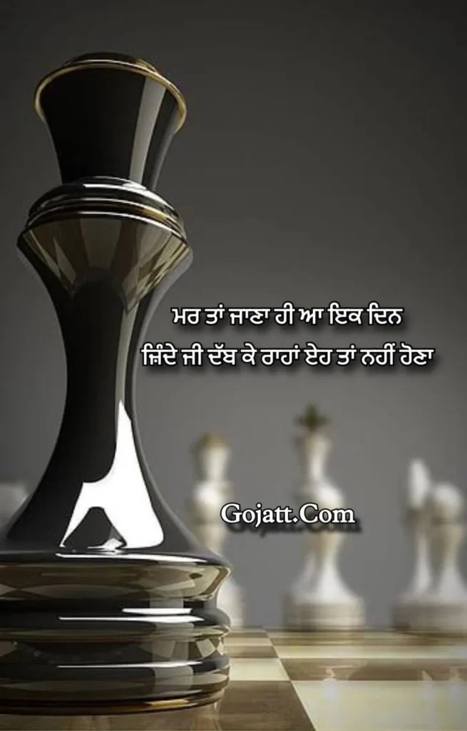 punjabi attitude status