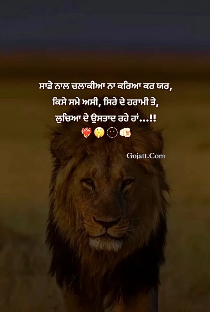 Punjabi attitude status