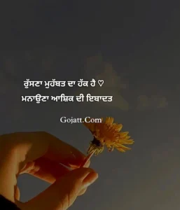 gojatt
