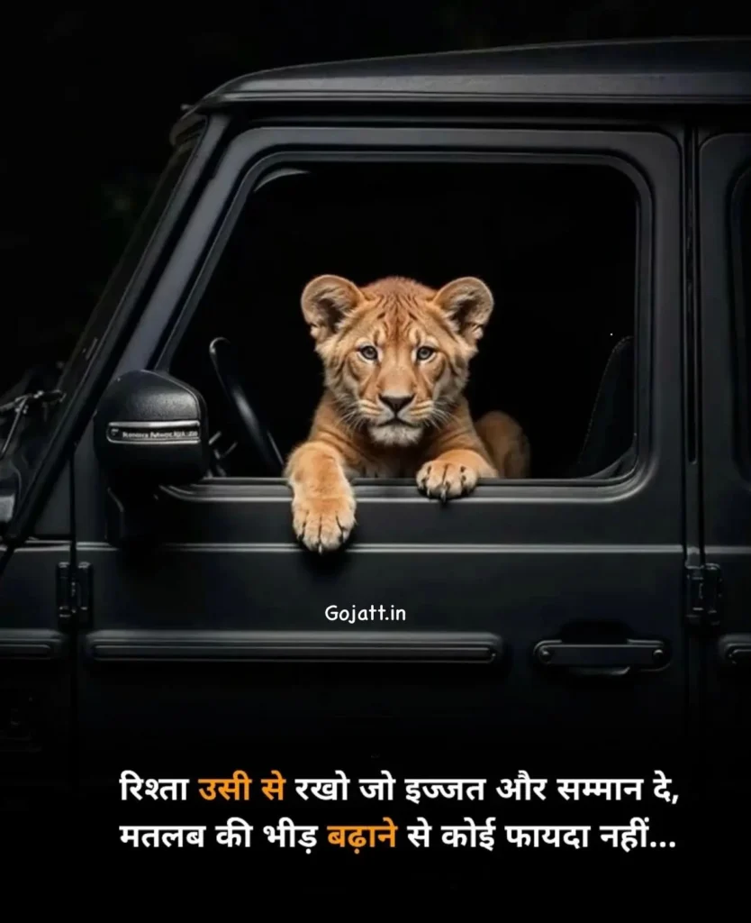 Hindi status