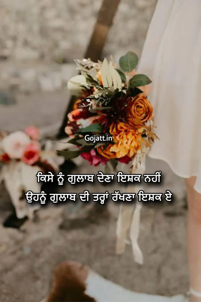 Punjabi Status