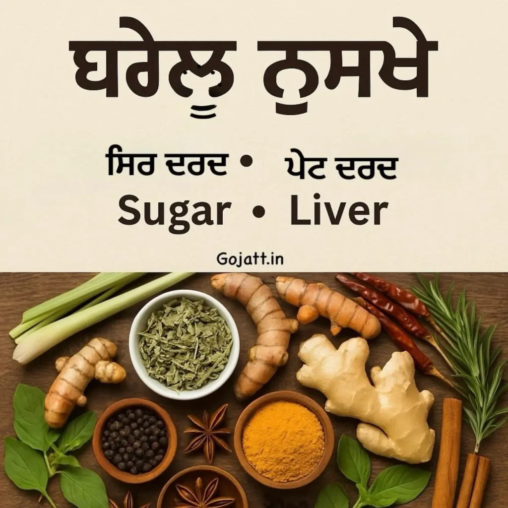 desi health nuskhe